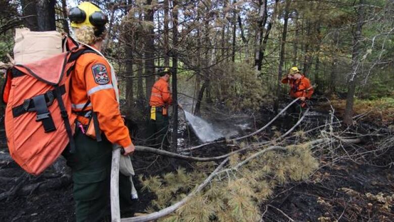 Forest firefighters spraying water on embers.