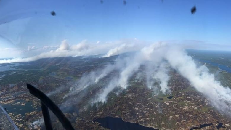 Arial shot of a forest with plumes of smoke rising from it. 