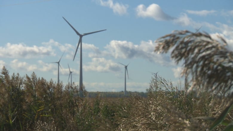 wind farm