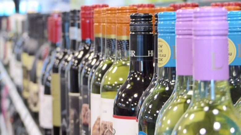 A row of wine bottles is pictured.