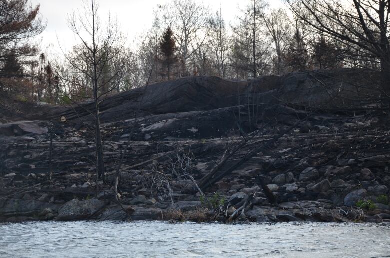 A landscape of blackened trees and rocks, with water in the foreground