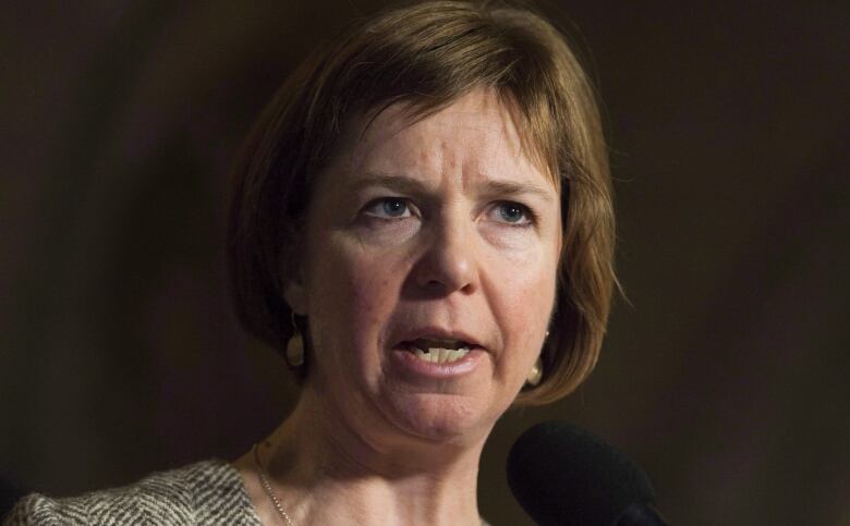 Sheila Malcolmson speaks in the house. She is a white woman with short brown hair.