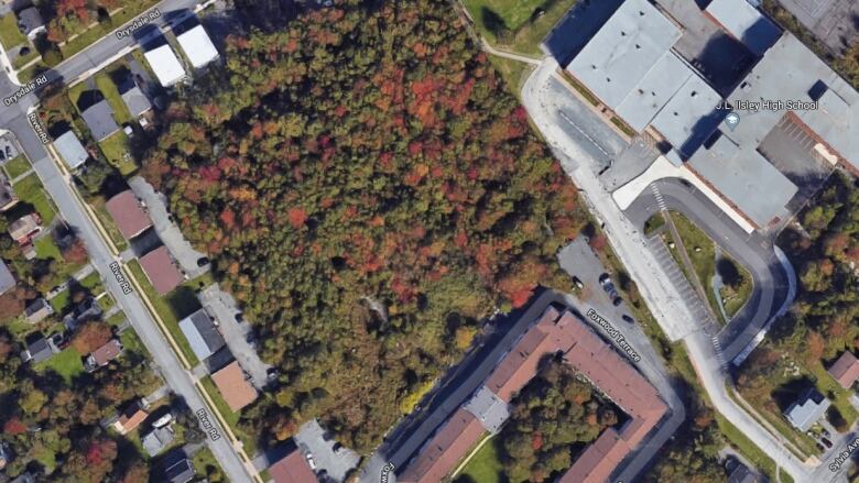 A block of forest is seen from above via Google Maps, and is surrounded by homes and streets