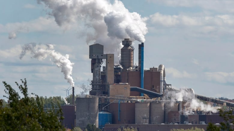 Clouds are emitted from a pulp mill.