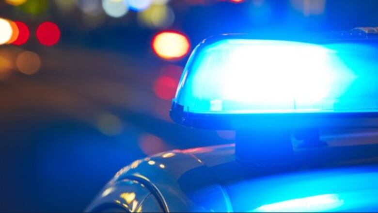 The lights of a police cruiser are pictured in a close-up image.