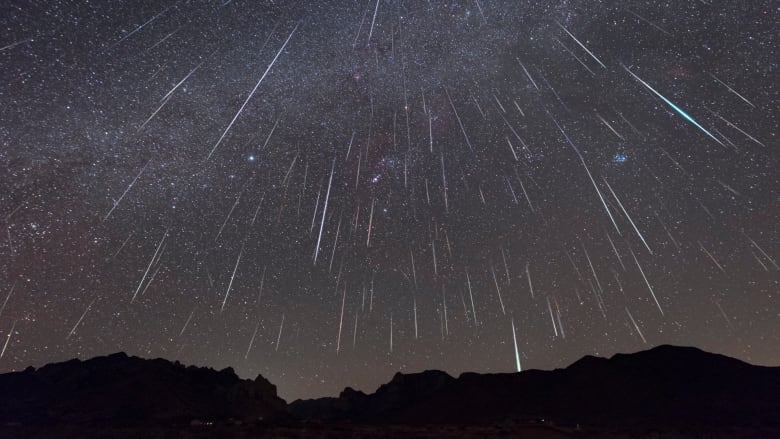 A photograph shows streaks of meteors through the sky over one night.