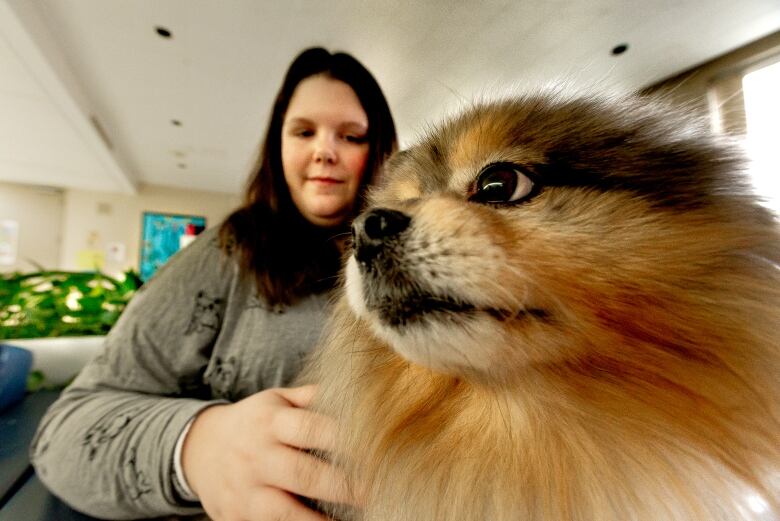 Young woman pictures with Pomeranian mix.