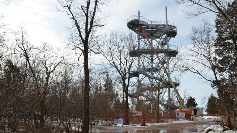 A photo of a tall observation deck tower surrounded by trees in wet weather. 