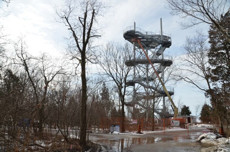 A photo of a tall observation deck tower surrounded by trees in wet weather. 