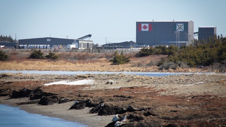 Donkin coal mine