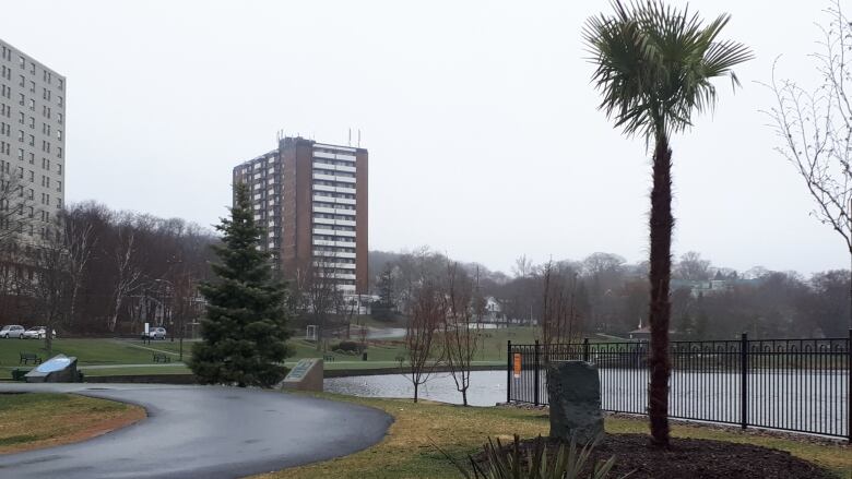 A palm tree next to a pond and walkway.