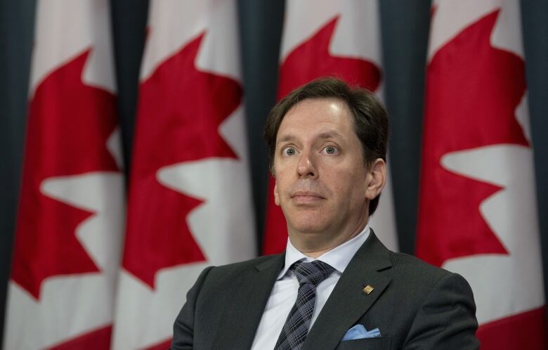 A man in a suit sits with several Canadian flags seen in the background.