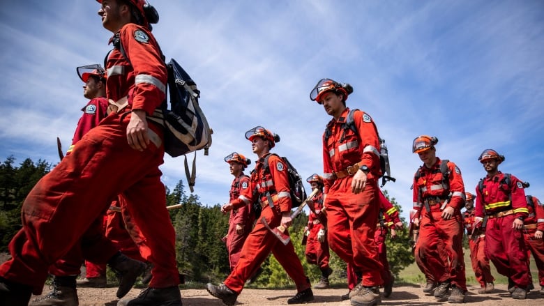 A line of wildfire fighters wearing red gear walk along a path.