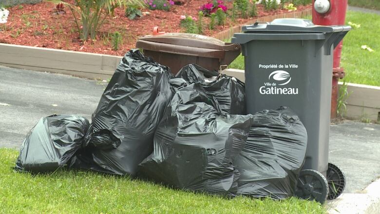 A garbage can, several garbage bags, and a brown bin on a curb.