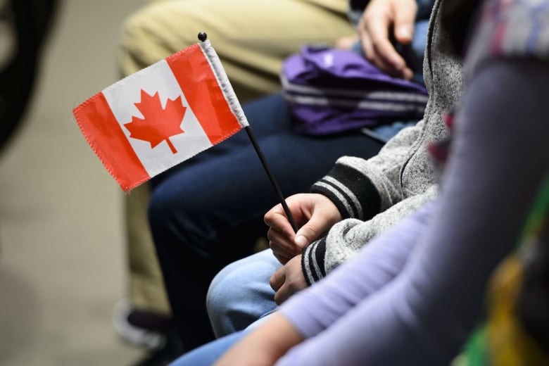 Someone holds a small Canada flag in their hand while seated. 