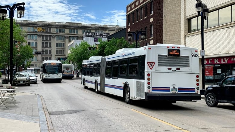 This photo shows buses on a street.