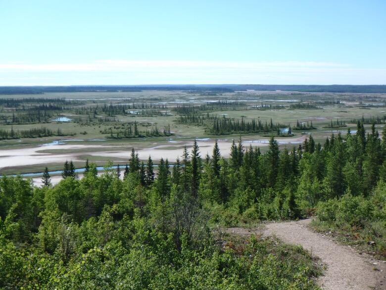 A view of a landscape of river and trees.