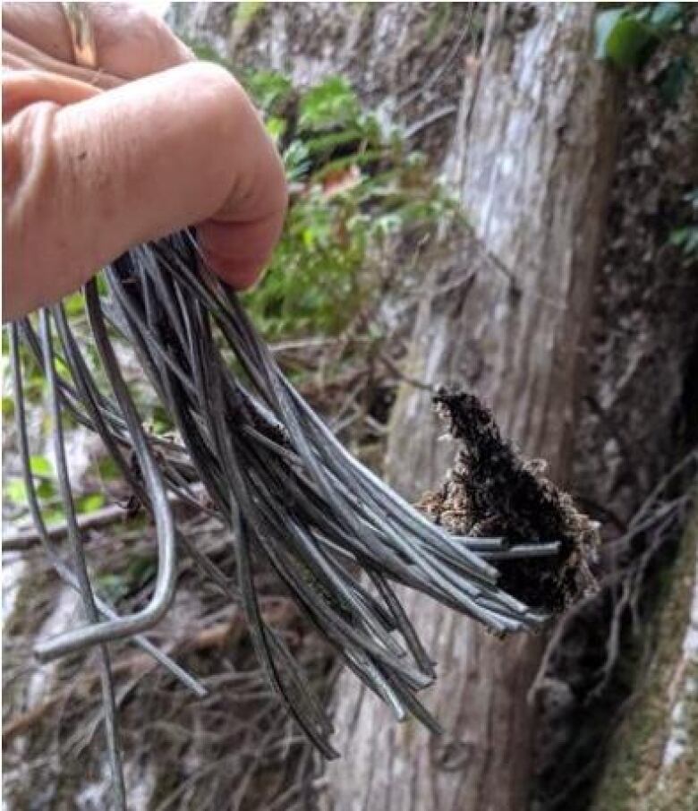 A fistful of severed steel cables.