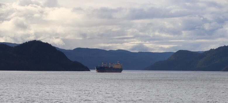 A ship crosses the water.