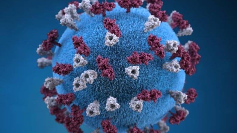 A graphic representation of measles.