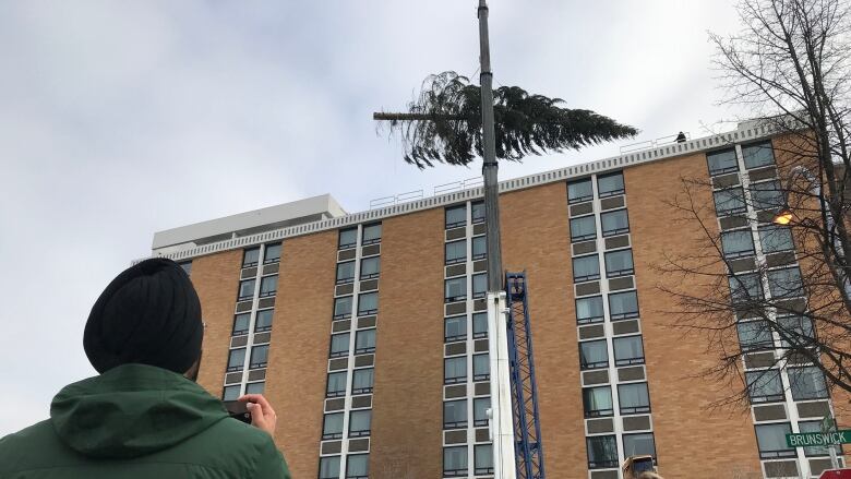 A crane lifts a fir tree up toward a tall building while two people watch and one takes pictures.