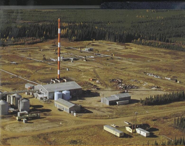 A mine surrounded by forest can be seen in the distance.