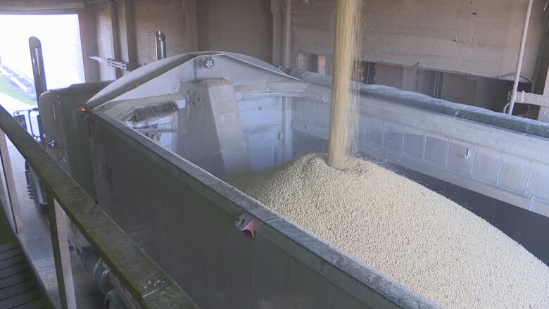 A truck being loaded at the P.E.I. Grain Elevators.