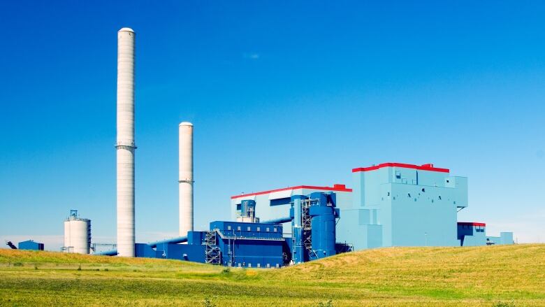 Capital Power plans to turn its Genesee Generation Station, located 70 kilometres southwest of Edmonton, into a facility that produces carbon nanotubes from the CO2 in its emissions. 