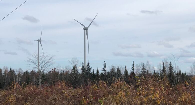 two wind turbines tower above a wooded landscape 