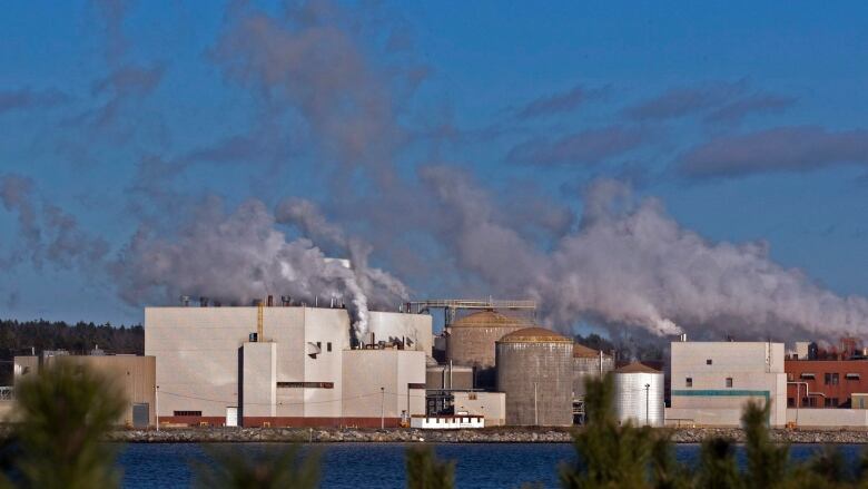 Steam comes from a pulp mill on the edge of water.