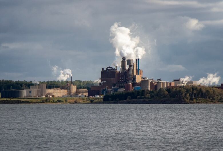 A mill with smoke coming from stacks is shown next to a body of water.