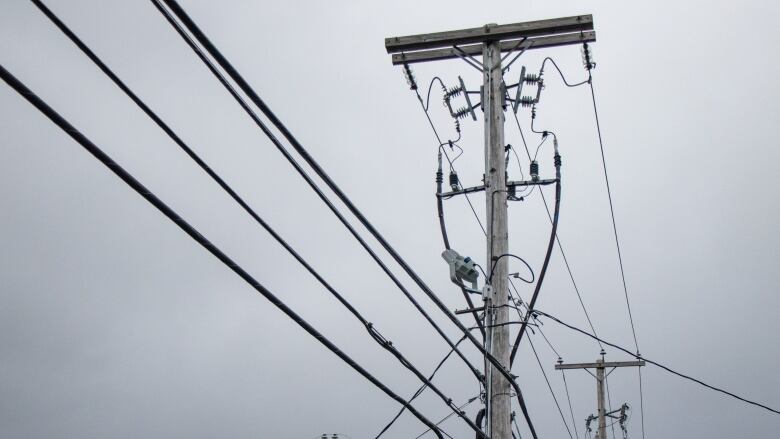 Electricity wires are seen running along power poles.