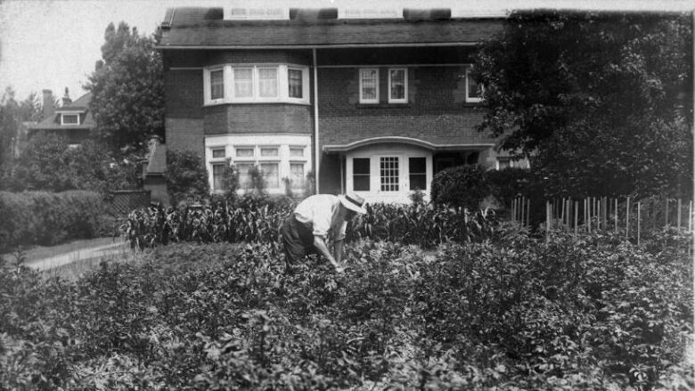 A vintage photo of a person gardening.