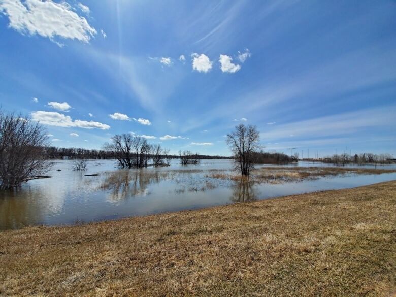 A flooded field near a river.