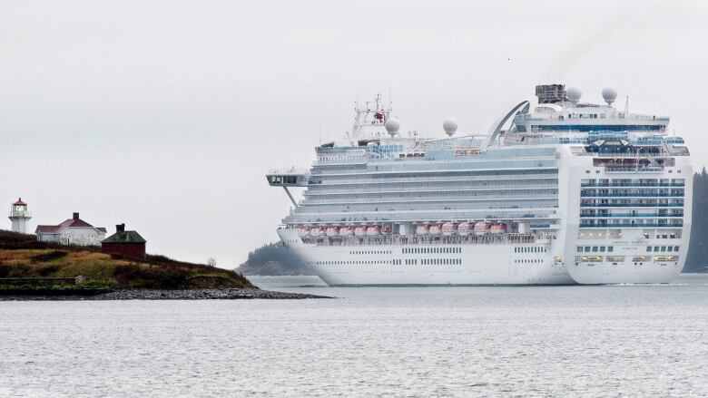 A large white cruise ship passes by a small island to its left