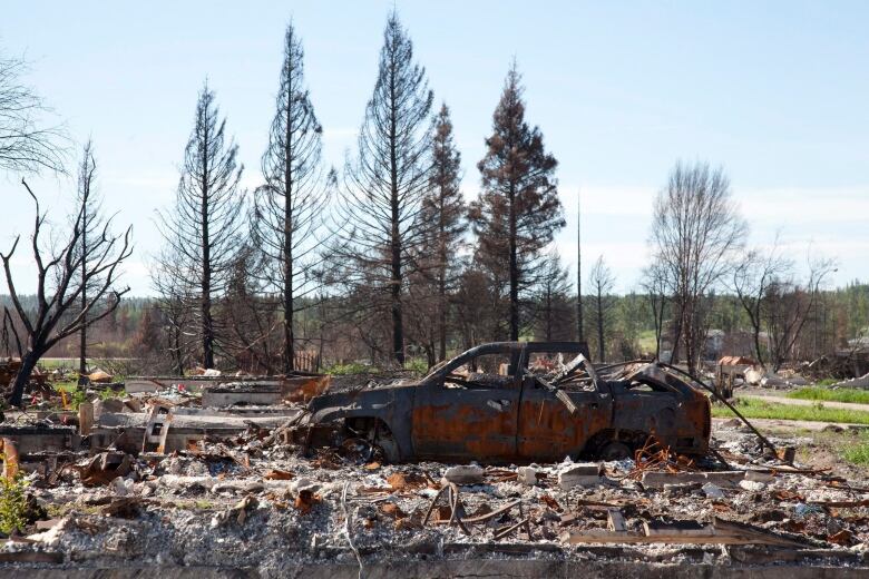 A burned-out truck surrounded by scorched trees. 