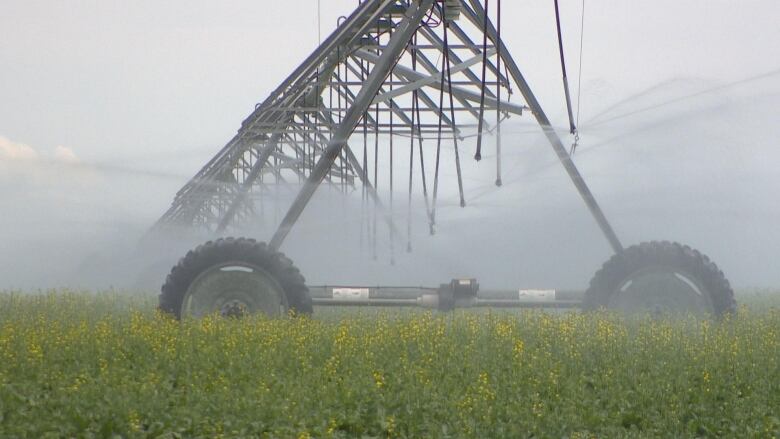 irrigation on open field