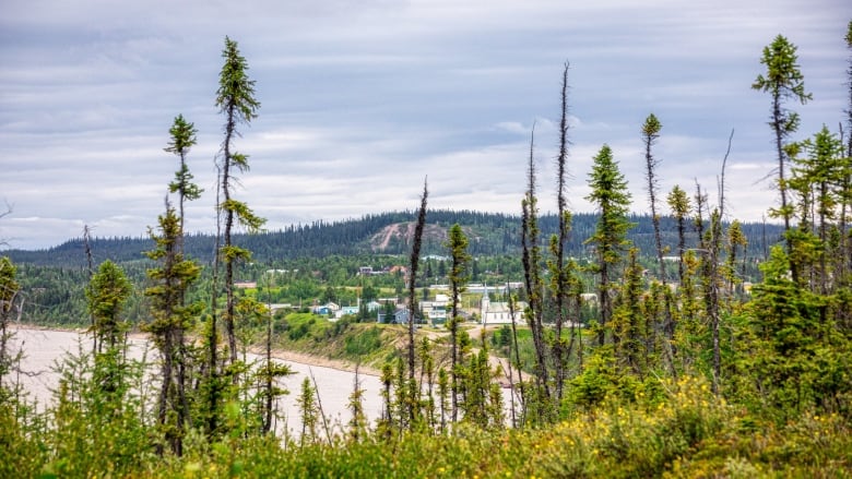 Trees near a community 