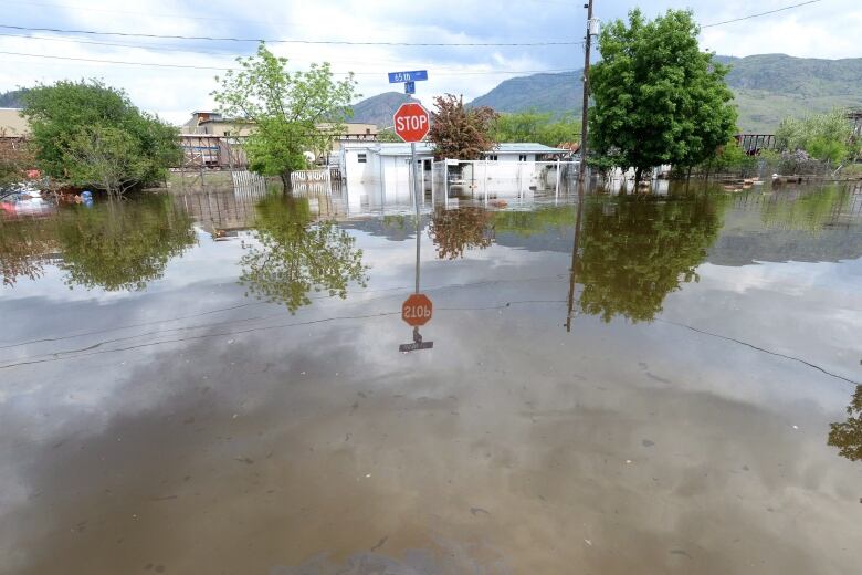 A street under water.