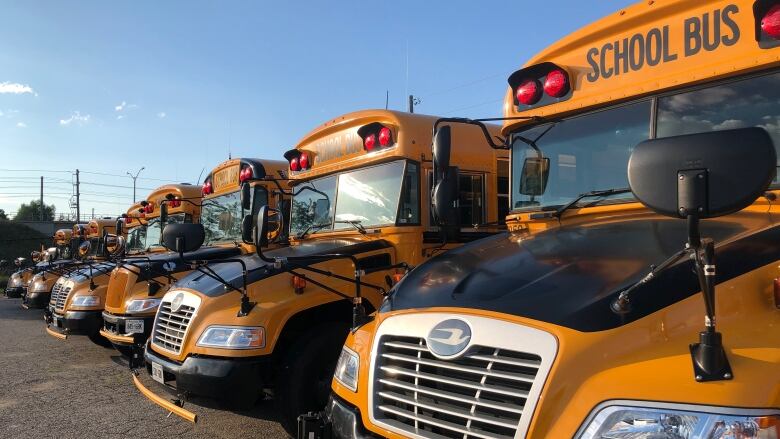 Parked yellow school buses