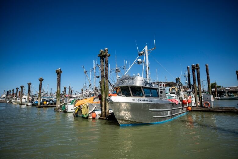 A view of many small commercial fishing vessels docked along the Steveston Harbour on a sunny day.