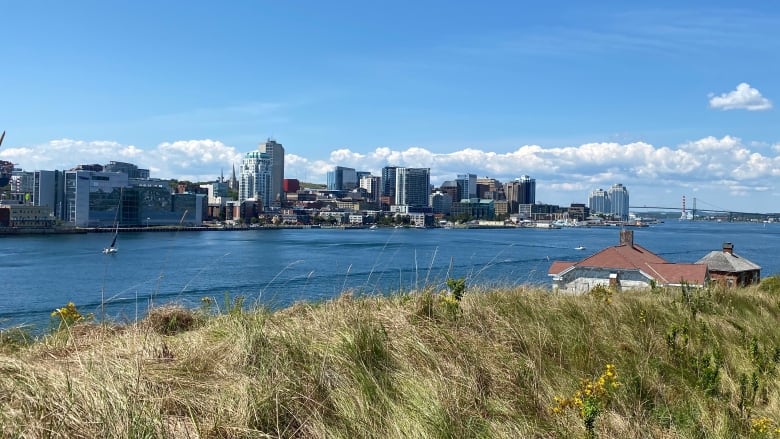 Grass near a shore with large buildings on the coastline