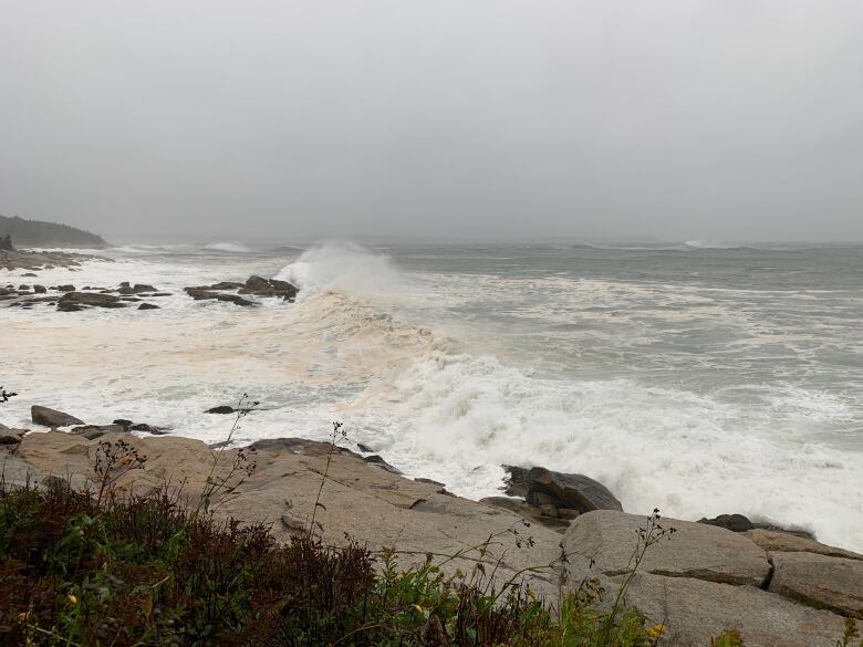 choppy waves hit a rocky shore line. the sky is dark grey.