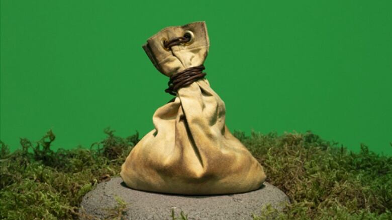 A brown sack, sitting on a rock surrounded by moss. 