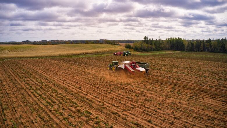 A drone view of a potato field being harvested 