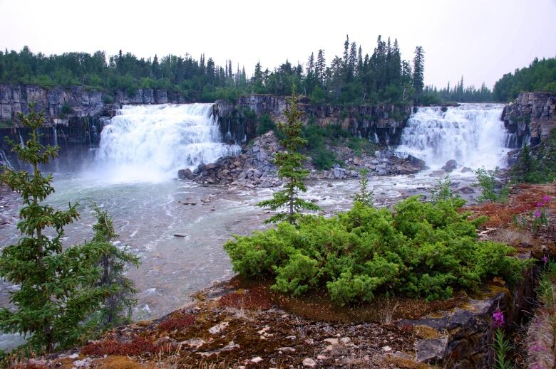 A waterfalls in a lush area.