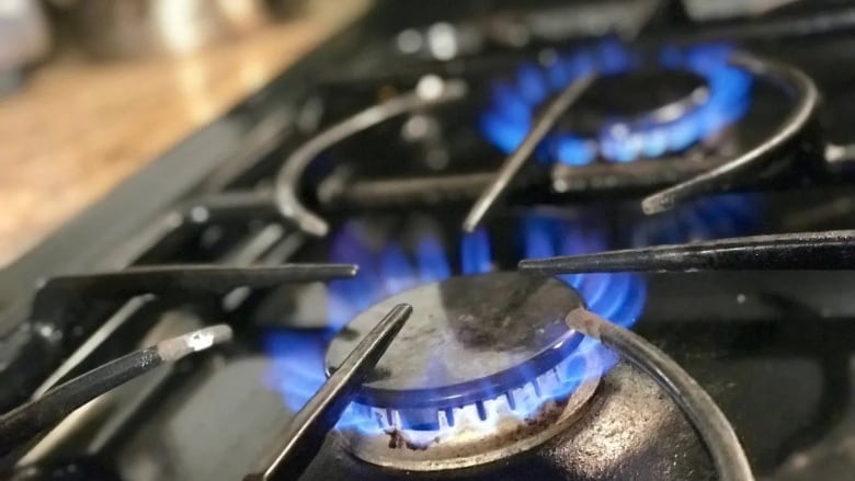 The trademark blue flames of a lit element on a gas stove.