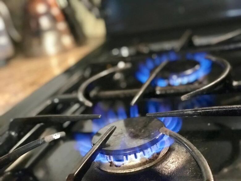 The trademark blue flames of a lit element on a gas stove.