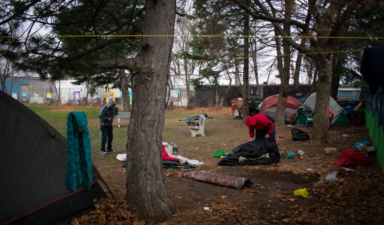 An encampment of people experiencing homelessness. 