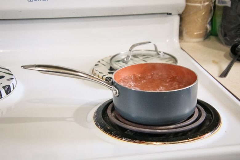 A pot of water is seen boiling on a stove element